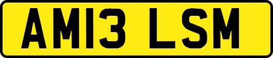 AM13LSM