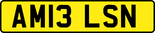 AM13LSN