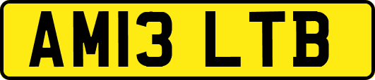 AM13LTB