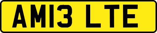 AM13LTE