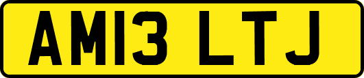 AM13LTJ