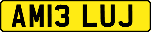 AM13LUJ