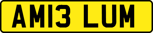 AM13LUM