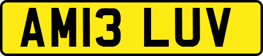 AM13LUV