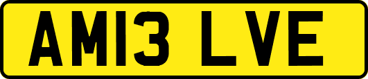 AM13LVE