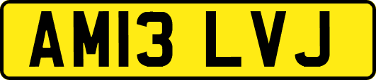 AM13LVJ