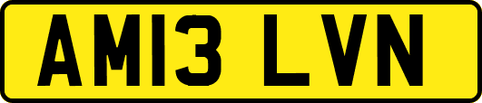 AM13LVN