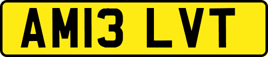 AM13LVT