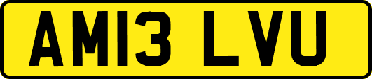 AM13LVU