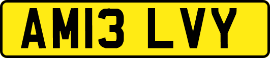 AM13LVY