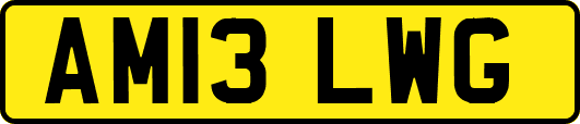 AM13LWG