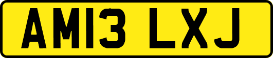 AM13LXJ