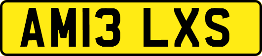 AM13LXS
