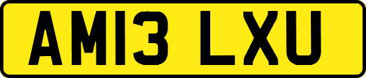 AM13LXU