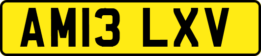 AM13LXV