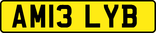 AM13LYB