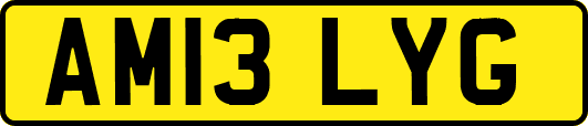AM13LYG