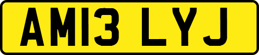 AM13LYJ