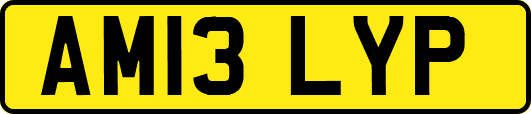 AM13LYP