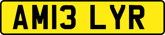 AM13LYR