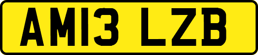 AM13LZB