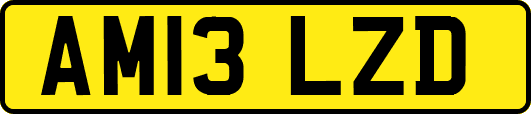 AM13LZD