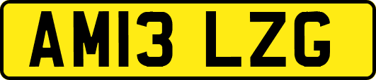 AM13LZG