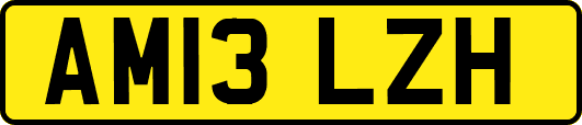 AM13LZH