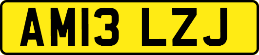 AM13LZJ