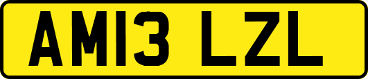 AM13LZL