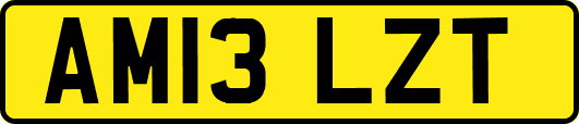 AM13LZT