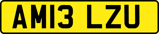 AM13LZU