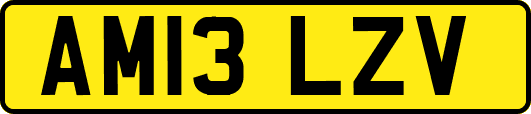 AM13LZV