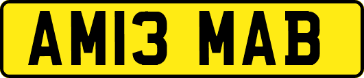 AM13MAB