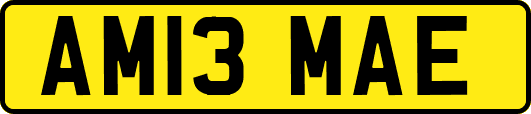 AM13MAE