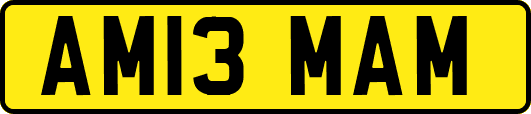 AM13MAM