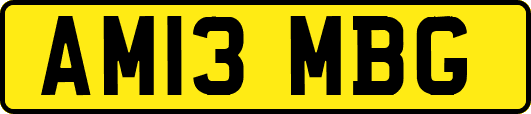 AM13MBG
