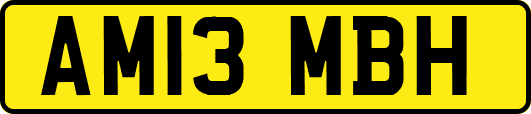AM13MBH