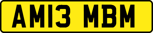 AM13MBM
