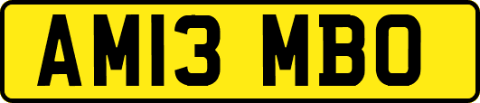 AM13MBO