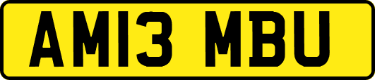 AM13MBU