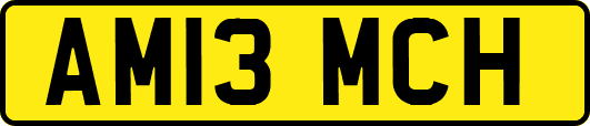 AM13MCH