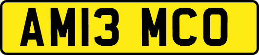 AM13MCO