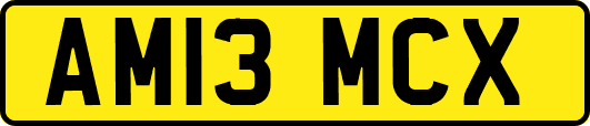 AM13MCX