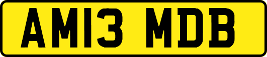 AM13MDB