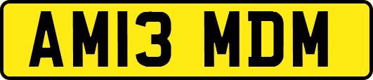 AM13MDM