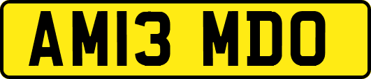 AM13MDO