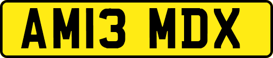 AM13MDX