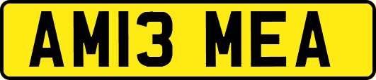 AM13MEA