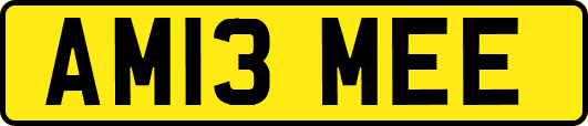 AM13MEE